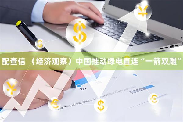 配查信 （经济观察）中国推动绿电直连“一箭双雕”