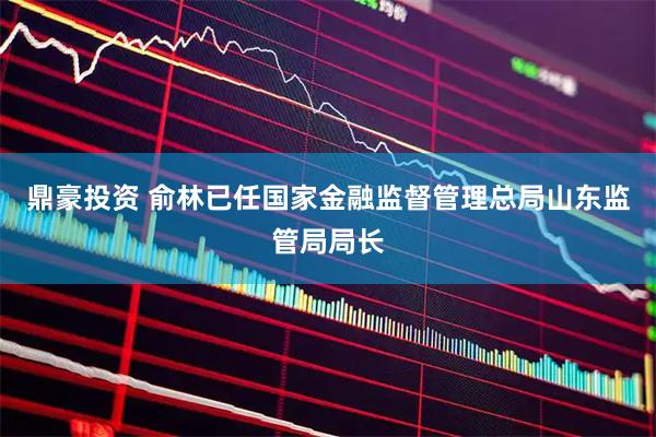 鼎豪投资 俞林已任国家金融监督管理总局山东监管局局长