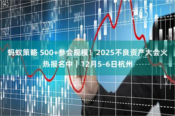 蚂蚁策略 500+参会规模!2025不良资产大会火热报名中|12月5-6日杭州