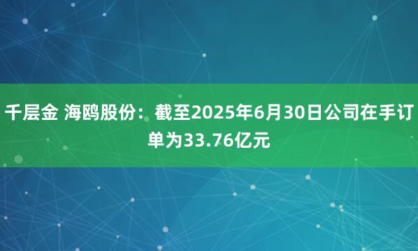 千层金 海鸥股份：截至2025年6月30日公司在手订单为33.76亿元