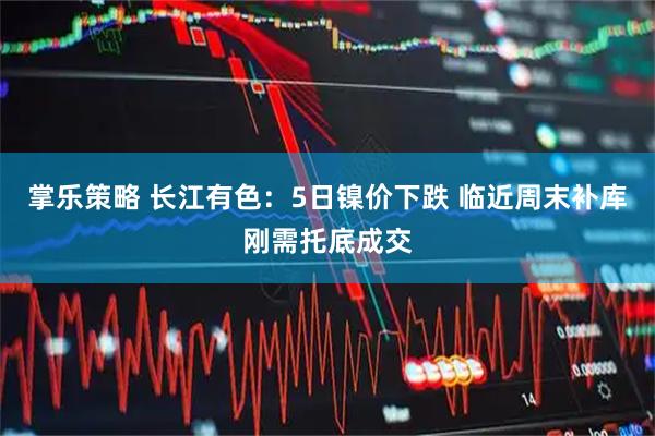 掌乐策略 长江有色：5日镍价下跌 临近周末补库刚需托底成交